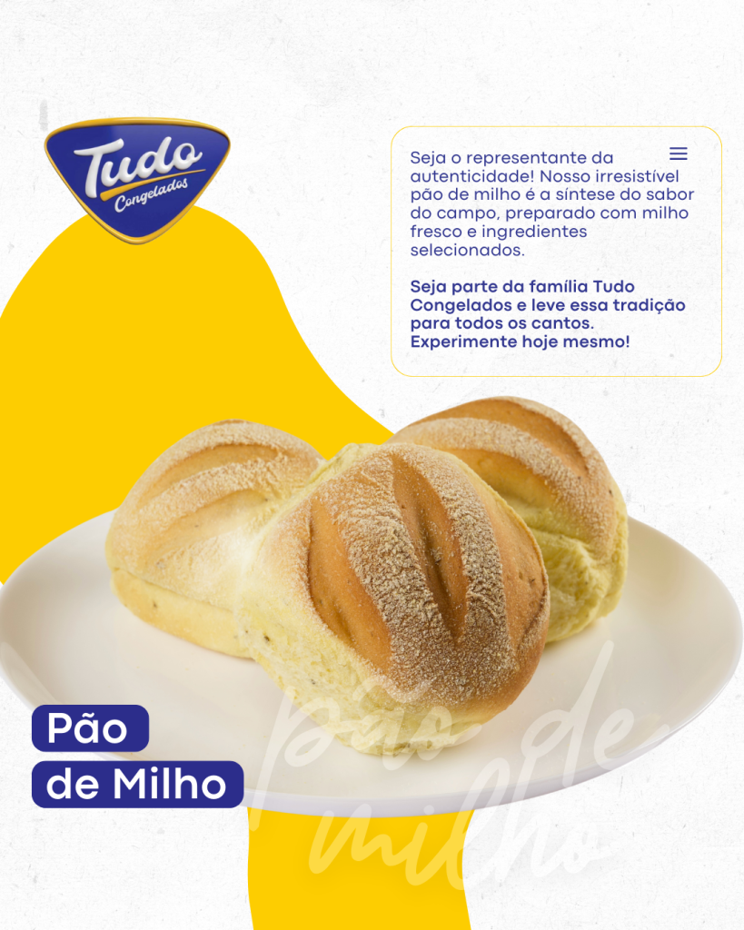 Seja representante da Tudo Congelados